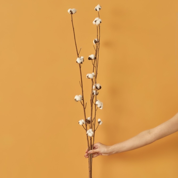 4 Pieces Cotton Dried Flower Branch Bouquet 95 cm - White / Beige