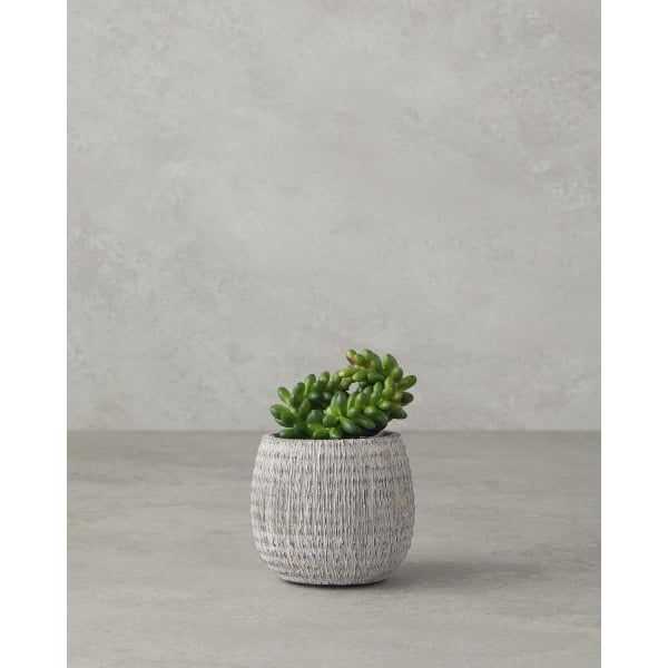 Cactus Love Plastic Artificial Flower with Vase 12.5 cm Green