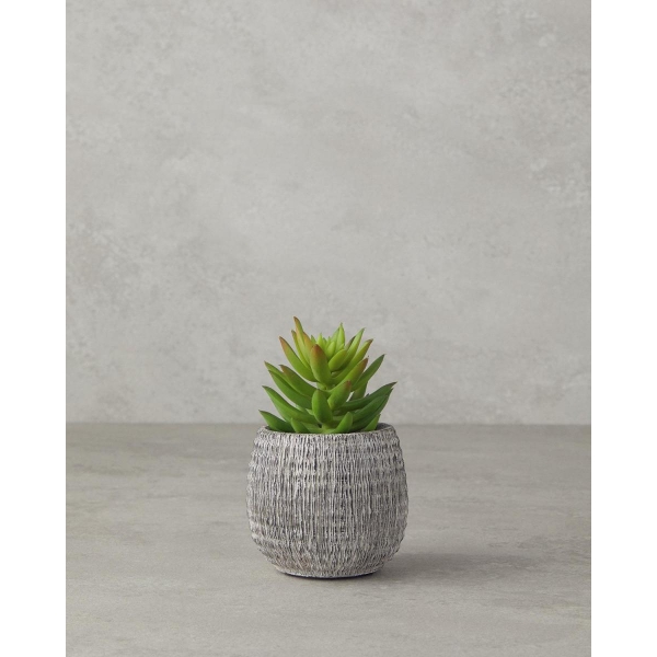 Crassula Plastic Artificial Flower with Vase 12.5 cm Green