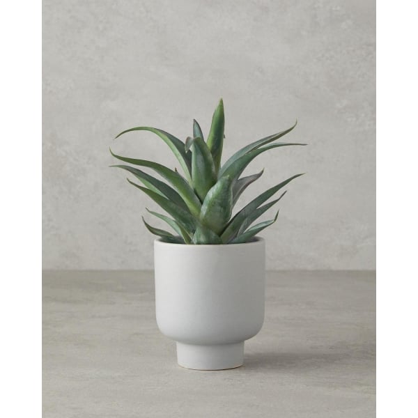 Aloevera Plastic Artificial Flower with Vase 21 cm Green