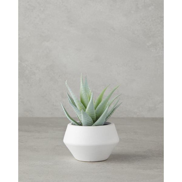 Aloevera Plastic Artificial Flower with Vase 14.5 cm Green