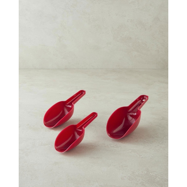 Poul Plastic 3 Pieces Measuring Spoon 22x7.8x5 Cm Maroon