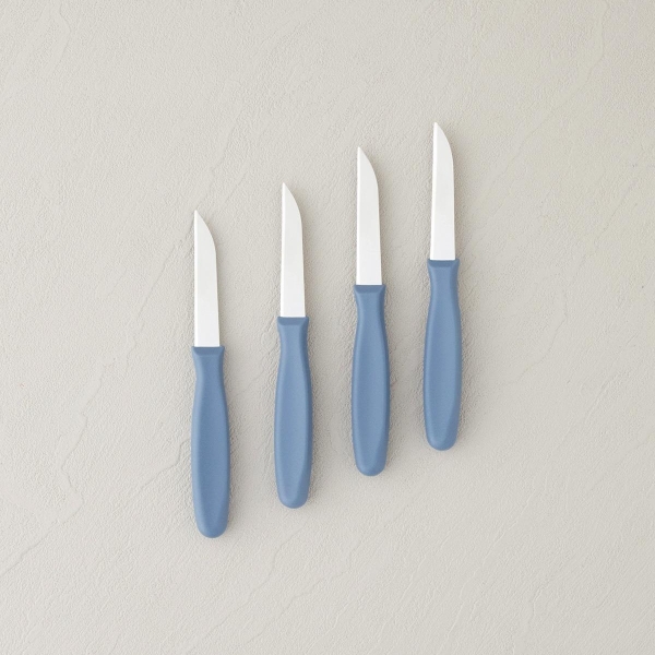 Diana Steel 4-Piece Fruit Knife 16 cm Blue